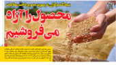 گزارش رمز اقتصاد درباره گندم‌کاران
