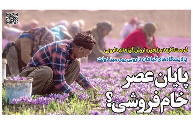 پالایشگاه گیاهان دارویی در روزنامه رمز اقتصاد